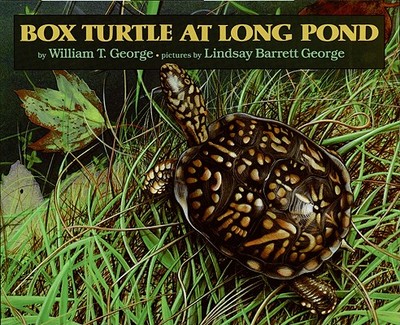 Box Turtle at Long Pond - George, William T