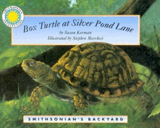 Box Turtle at Silver Pond Lane - Korman, Susan