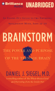 Brainstorm: The Power and Purpose of the Teenage Brain: An Inside-Out Guide to the Emerging Adolescent Mind, Ages 12-24 - Siegel, Daniel J, MD (Read by)