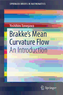 Brakke's Mean Curvature Flow: An Introduction