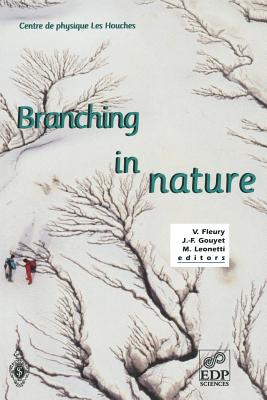 Branching in Nature: Dynamics and Morphogenesis of Branching Structures, from Cell to River Networks - Fleury, V (Editor), and Gouyet, J -F (Editor), and Leonetti, Marc (Editor)