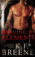 Braving the Elements (Darkness, 2)