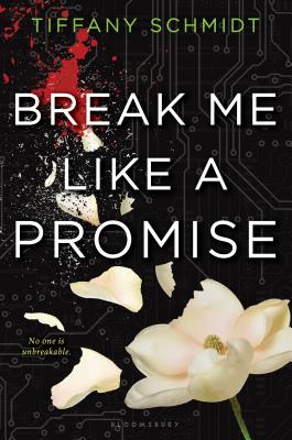 Break Me Like a Promise: Once Upon a Crime Family - Schmidt, Tiffany