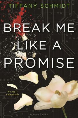 Break Me Like a Promise: Once Upon a Crime Family - Schmidt, Tiffany