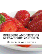 Breeding and Testing Strawberry Varieties