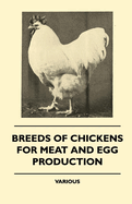 Breeds Of Chickens For Meat And Egg Production