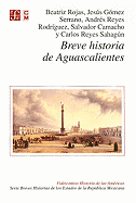 Breve Historia de Aguascalientes