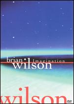 Brian Wilson: Imagination - 
