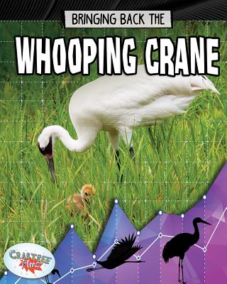 Bringing Back the Whooping Crane - Stuckey, Rachel