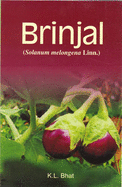 Brinjal: Solanum Melongena Linn