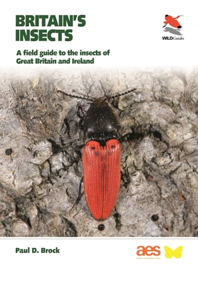 Britain's Insects: A Field Guide to the Insects of Great Britain and Ireland - Brock, Paul D, Dr.