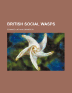 British Social Wasps