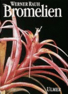 Bromelien: Tillandsien Und Andere Kulturwurdige Bromelien