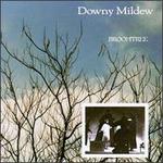 Broomtree - Downy Mildew