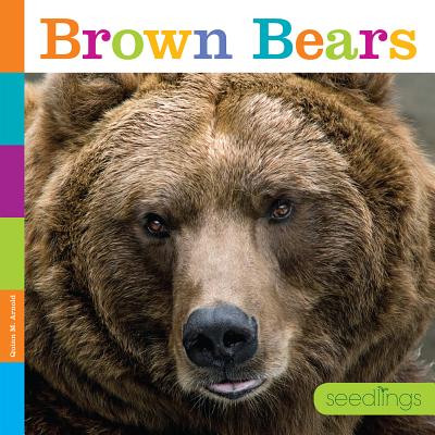 Brown Bears - Arnold, Quinn M