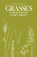 Brown Grasses Identification Guide