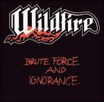 Brute Force and Ignorance