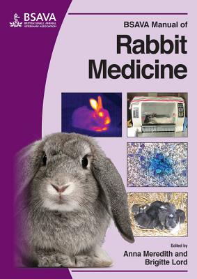 BSAVA Manual of Rabbit Medicine - Meredith, Anna (Editor), and Lord, Brigitte (Editor)