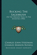 Bucking The Sagebrush: Or The Oregon Trail In The Seventies (1904)