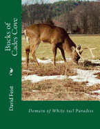 Bucks of Cade's Cove: Domain of White-Tail Paradise