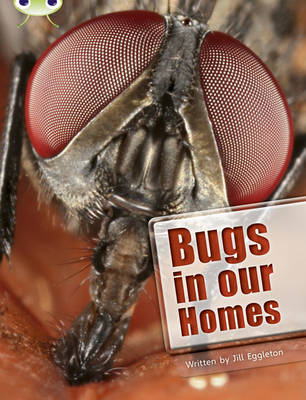 Bug Club Independent Non Fiction Year Two Lime A Bugs in our Homes - Eggleton, Jill