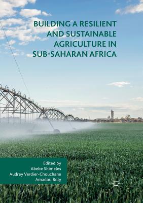 Building a Resilient and Sustainable Agriculture in Sub-Saharan Africa - Shimeles, Abebe (Editor), and Verdier-Chouchane, Audrey (Editor), and Boly, Amadou (Editor)