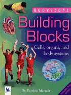 Building Blocks: Cells, Organs, and Body Systems