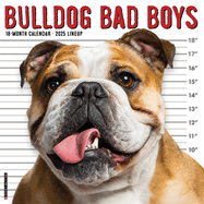 Bulldog Bad Boys 2026 12 X 12 Wall Calendar