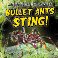 Bullet Ants Sting!