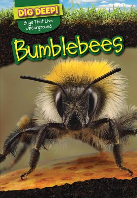 Bumblebees - Stone, Omar