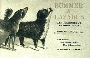 Bummer & Lazarus: San Francisco's Famous Dogs