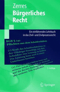 Burgerliches Recht: Ein Einfuhrendes Lehrbuch in Das Zivil- Und Zivilprozessrecht