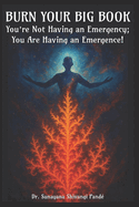Burn Your Big Book: You're Not Having an Emergency; You're Having an Emergence!