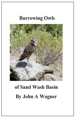 Burrowing Owls of Sand Wash Basin - Wagner, John A