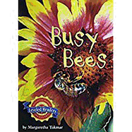 Busy Bees: Level 2.4.2 on LVL