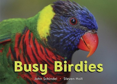 Busy Birdies - Schindel, John, and Holt, Steven (Photographer)