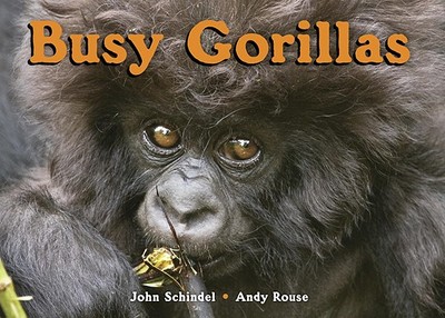 Busy Gorillas - Schindel, John, and Rouse, Andy (Photographer)