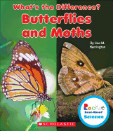 Butterflies and Moths