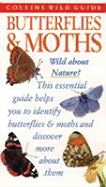 Butterflies & Moths - Still, John