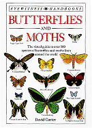 Butterflies & Moths