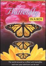 Butterfly in a Box