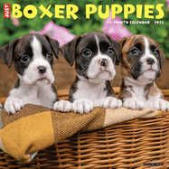 CAL 25 BOXER PUPPIES 2025 WALL