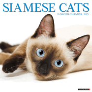 CAL 25 SIAMESE CATS 2025 WALL