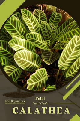 Calathea: Prodigy Petal, Plant Guide - Prodigy, Petal