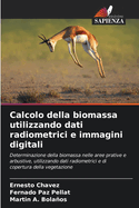 Calcolo della biomassa utilizzando dati radiometrici e immagini digitali