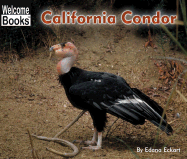 California Condor