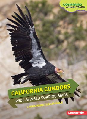 California Condors: Wide-Winged Soaring Birds - Waxman, Laura Hamilton