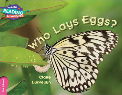 Cambridge Reading Adventures Who Lays Eggs? Pink B Band - Llewellyn, Clare