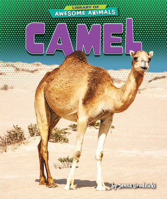 Camel - Grodzicki, Jenna