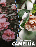 Camellia Photo Book: Stunning Floral Images Featuring Camellia Blooms For Nature Lovers and Garden Enthusiasts